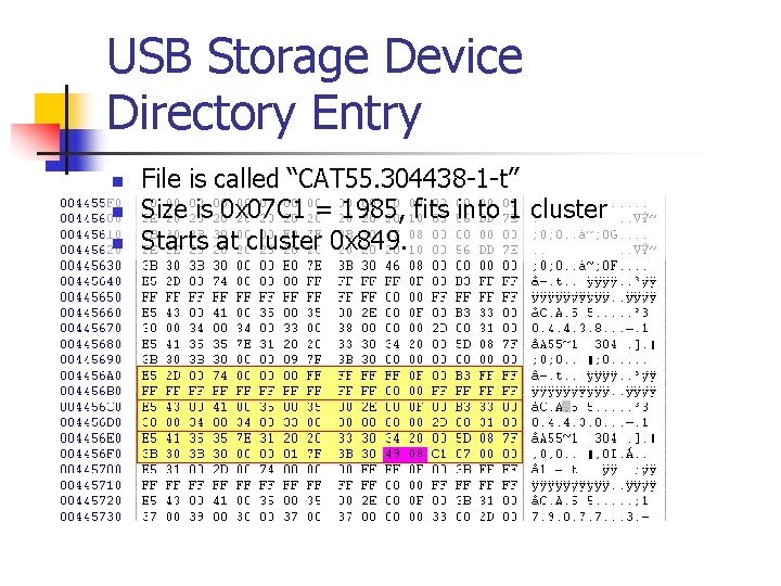 USB Storage Device Directory Entry n n n File is called “CAT 55. 304438