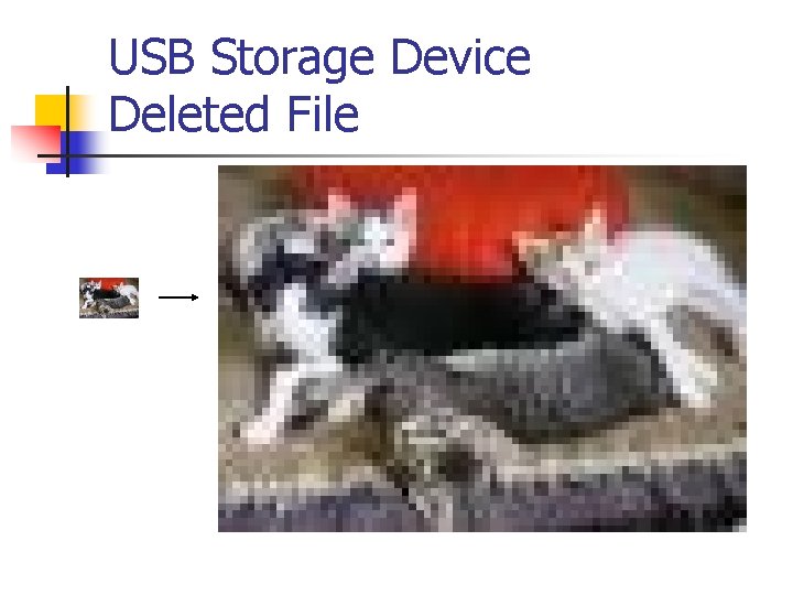 USB Storage Device Deleted File 