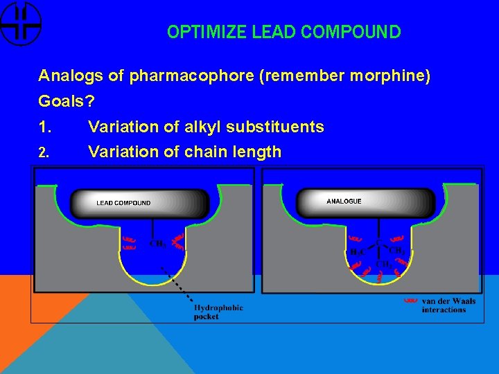 OPTIMIZE LEAD COMPOUND Analogs of pharmacophore (remember morphine) Goals? 1. Variation of alkyl substituents
