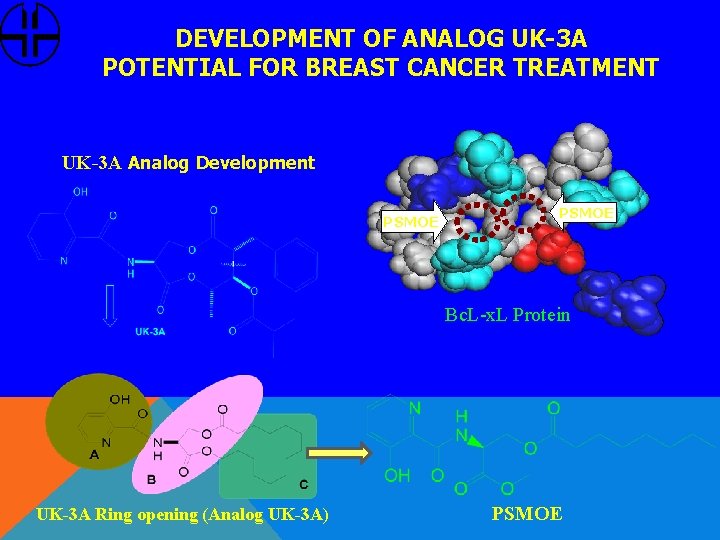 DEVELOPMENT OF ANALOG UK-3 A POTENTIAL FOR BREAST CANCER TREATMENT UK-3 A Analog Development