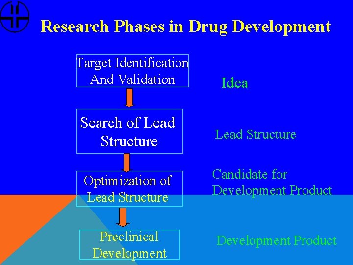 Research Phases in Drug Development Target Identification And Validation Idea Search of Lead Structure