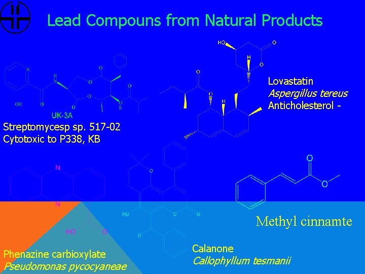 Lead Compouns from Natural Products Lovastatin Aspergillus tereus Anticholesterol Streptomycesp sp. 517 -02 Cytotoxic