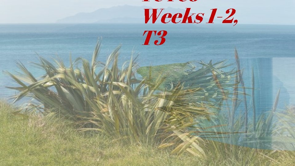 Te reo Weeks 1 -2, T 3 