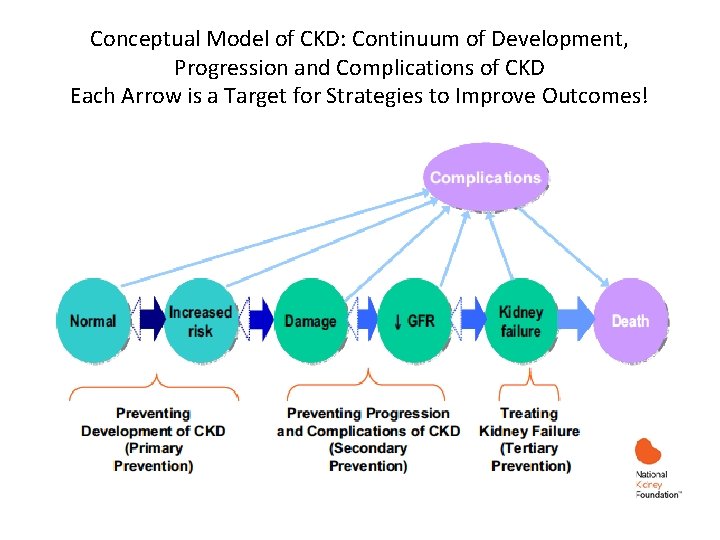 Conceptual Model of CKD: Continuum of Development, Progression and Complications of CKD Each Arrow