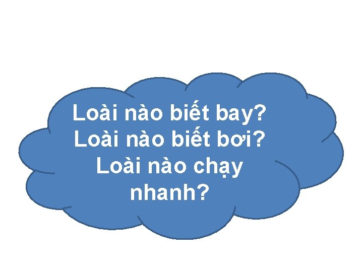 Loài nào biết bay? Loài nào biết bơi? Loài nào chạy nhanh? 