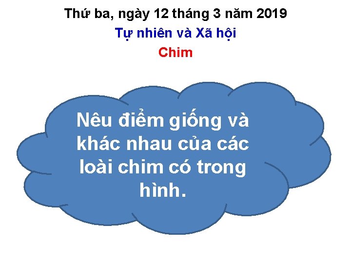 Thứ ba, ngày 12 tháng 3 năm 2019 Tự nhiên và Xã hội Chim