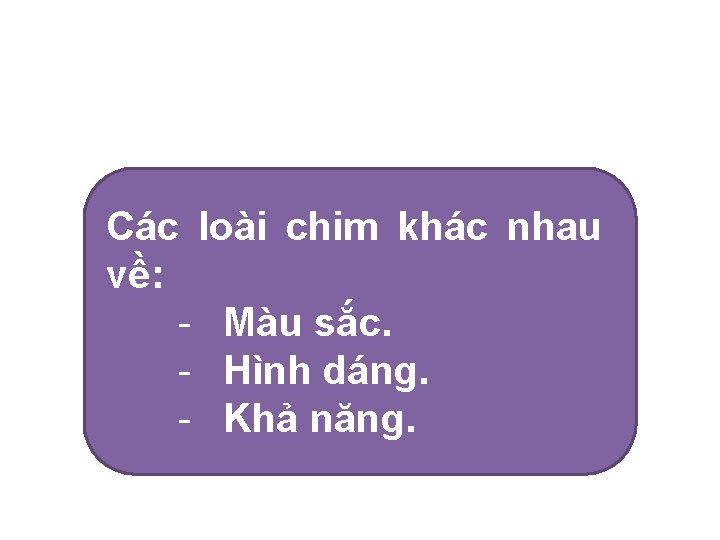 Các loài chim khác nhau về: - Màu sắc. - Hình dáng. - Khả