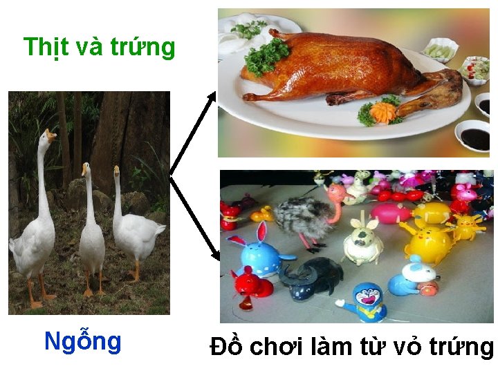 Thịt và trứng Ngỗng Đồ chơi làm từ vỏ trứng 