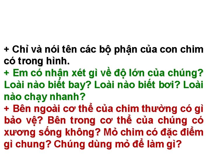 + Chỉ và nói tên các bộ phận của con chim có trong hình.