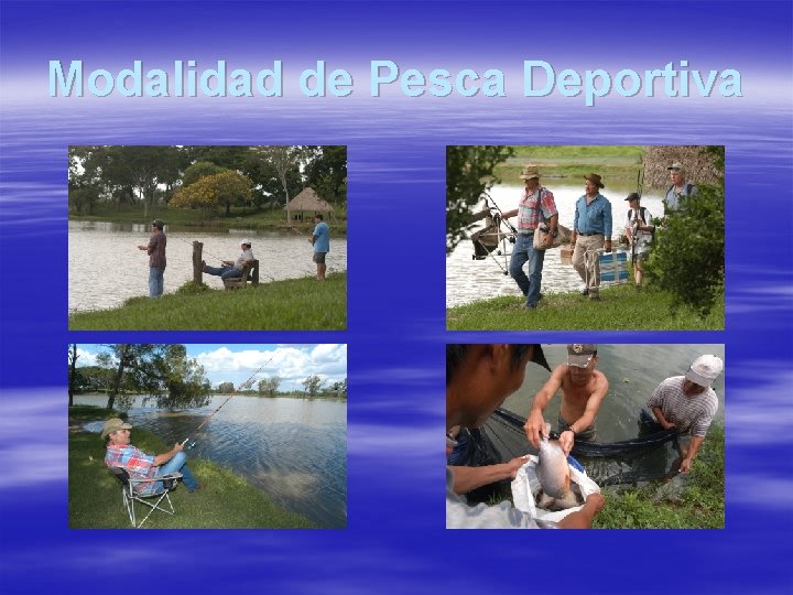 Modalidad de Pesca Deportiva 