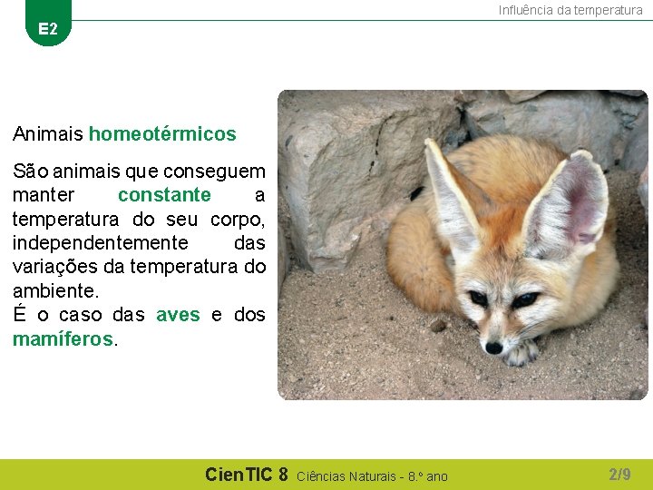 Influência da temperatura E 2 Animais homeotérmicos São animais que conseguem manter constante a