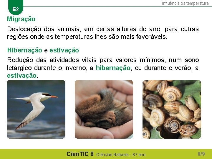 Influência da temperatura E 2 Migração Deslocação dos animais, em certas alturas do ano,