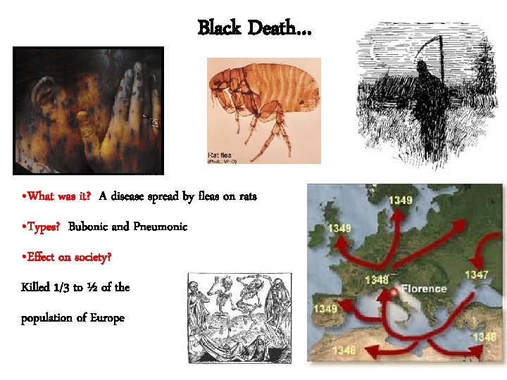Black Death… • What was it? A disease spread by fleas on rats •