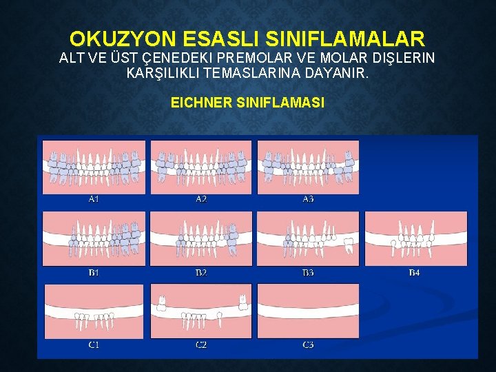 OKUZYON ESASLI SINIFLAMALAR ALT VE ÜST ÇENEDEKI PREMOLAR VE MOLAR DIŞLERIN KARŞILIKLI TEMASLARINA DAYANIR.