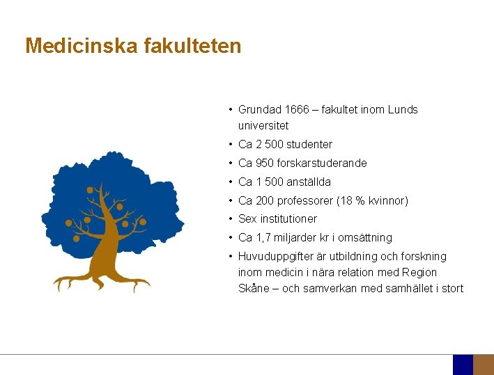 Medicinska fakulteten • Grundad 1666 – fakultet inom Lunds universitet • Ca 2 500