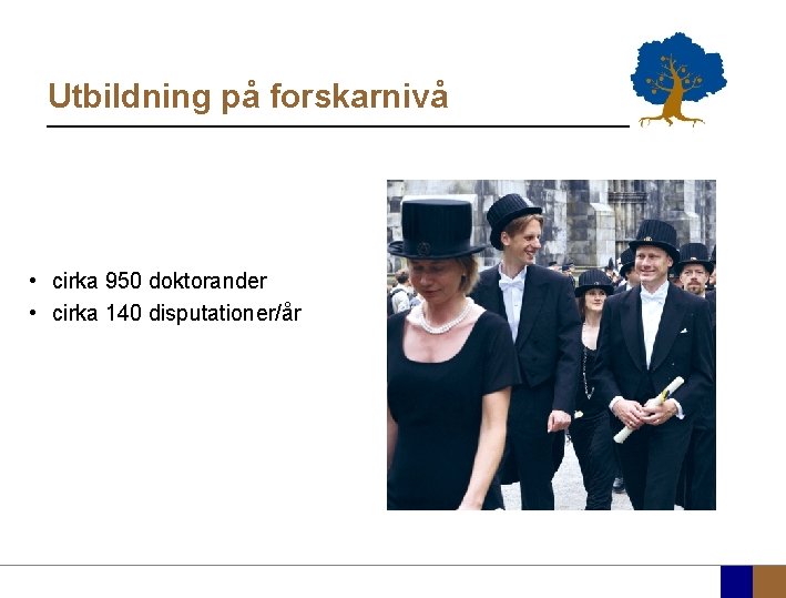 Utbildning på forskarnivå • cirka 950 doktorander • cirka 140 disputationer/år 