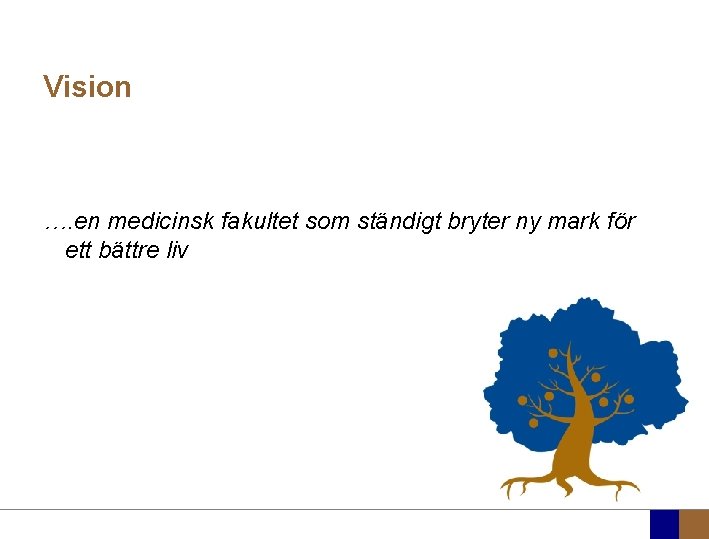 Vision …. en medicinsk fakultet som ständigt bryter ny mark för ett bättre liv