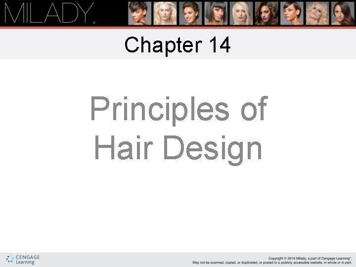 Chapter 14 Principles of Hair Design 