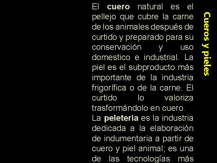 Cueros y pieles El cuero natural es el pellejo que cubre la carne de