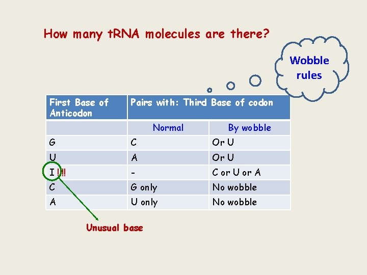 How many t. RNA molecules are there? Wobble rules First Base of Anticodon Pairs How many t. RNA molecules are there? Wobble rules First Base of Anticodon Pairs