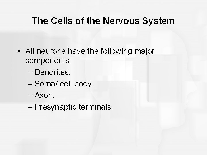 The Cells of the Nervous System • All neurons have the following major components: