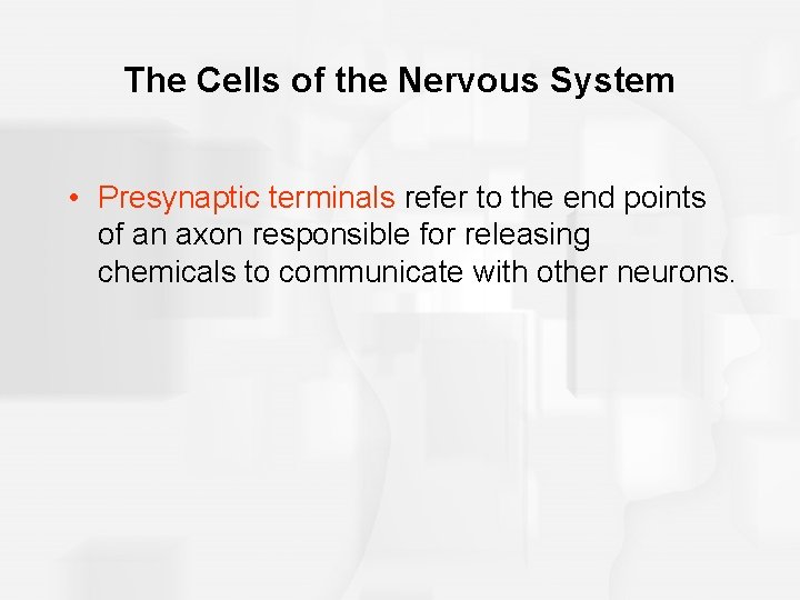 The Cells of the Nervous System • Presynaptic terminals refer to the end points