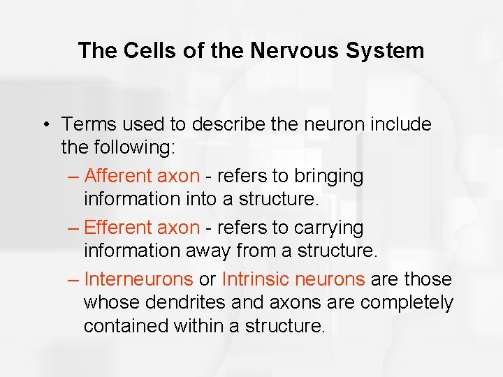 The Cells of the Nervous System • Terms used to describe the neuron include