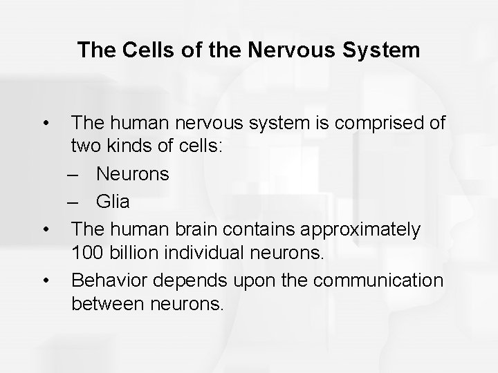 The Cells of the Nervous System • The human nervous system is comprised of