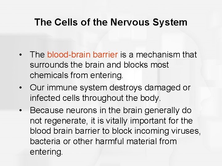 The Cells of the Nervous System • The blood-brain barrier is a mechanism that