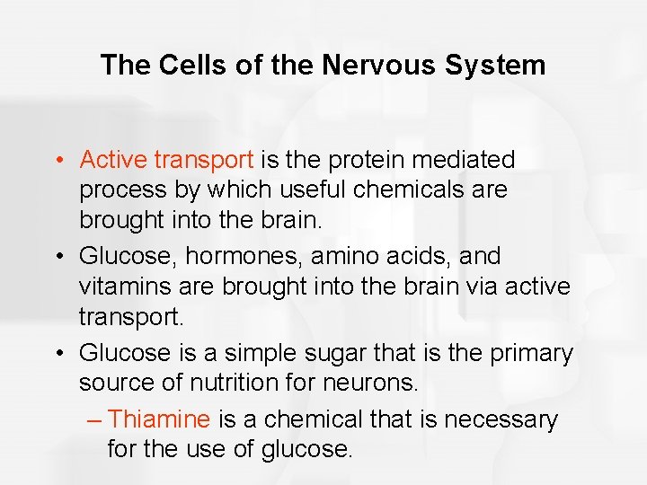 The Cells of the Nervous System • Active transport is the protein mediated process