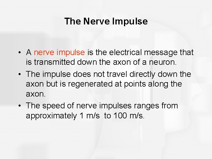 The Nerve Impulse • A nerve impulse is the electrical message that is transmitted