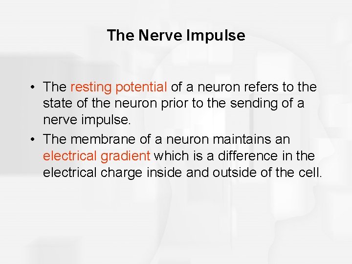 The Nerve Impulse • The resting potential of a neuron refers to the state