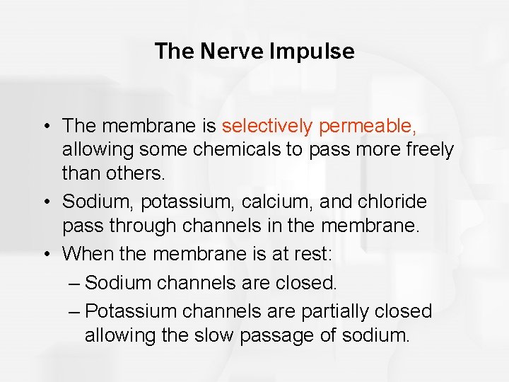 The Nerve Impulse • The membrane is selectively permeable, allowing some chemicals to pass