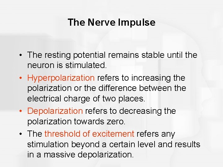 The Nerve Impulse • The resting potential remains stable until the neuron is stimulated.