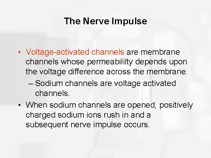 The Nerve Impulse • Voltage-activated channels are membrane channels whose permeabililty depends upon the