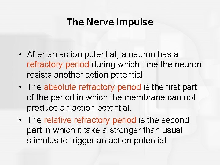 The Nerve Impulse • After an action potential, a neuron has a refractory period