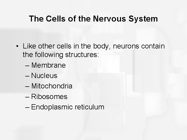 The Cells of the Nervous System • Like other cells in the body, neurons