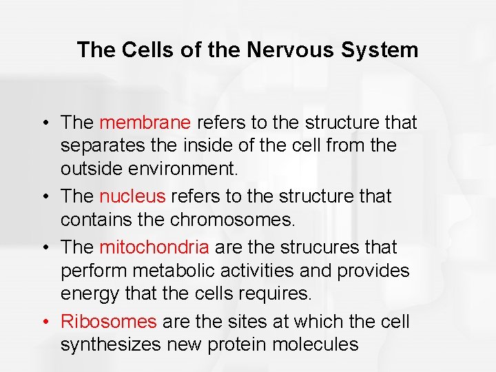 The Cells of the Nervous System • The membrane refers to the structure that