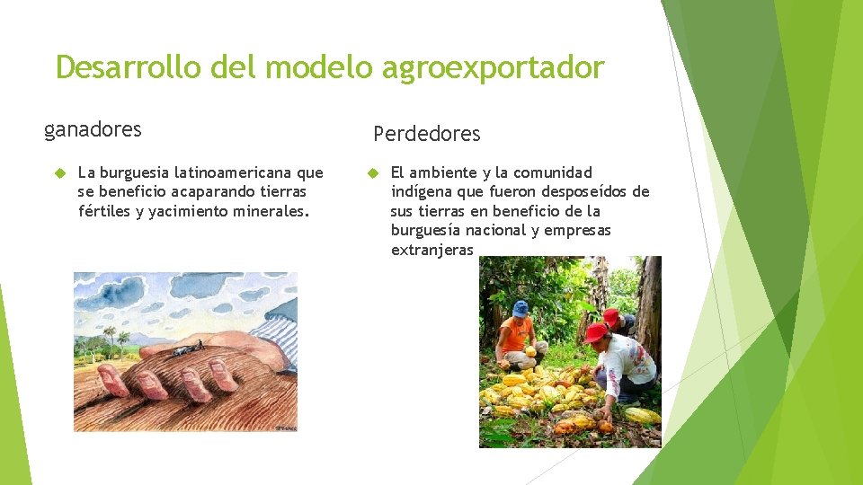 Desarrollo del modelo agroexportador ganadores La burguesia latinoamericana que se beneficio acaparando tierras fértiles