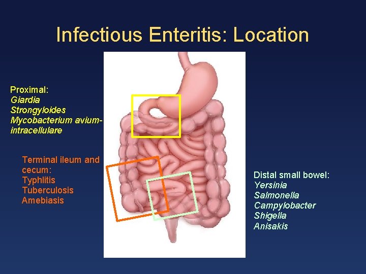Infectious Enteritis: Location Proximal: Giardia Strongyloides Mycobacterium aviumintracellulare Terminal ileum and cecum: Typhlitis Tuberculosis