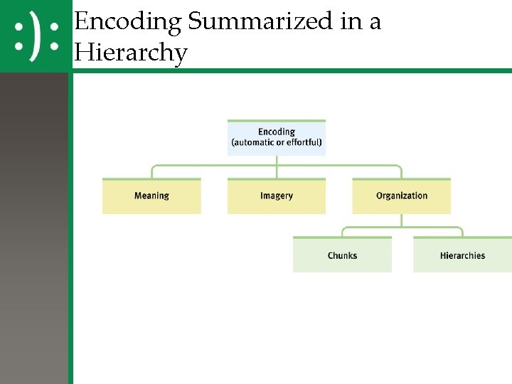 Encoding Summarized in a Hierarchy 