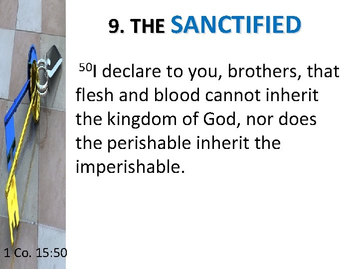 9. THE SANCTIFIED 50 I declare to you, brothers, that flesh and blood cannot