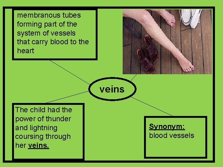 membranous tubes forming part of the system of vessels that carry blood to the