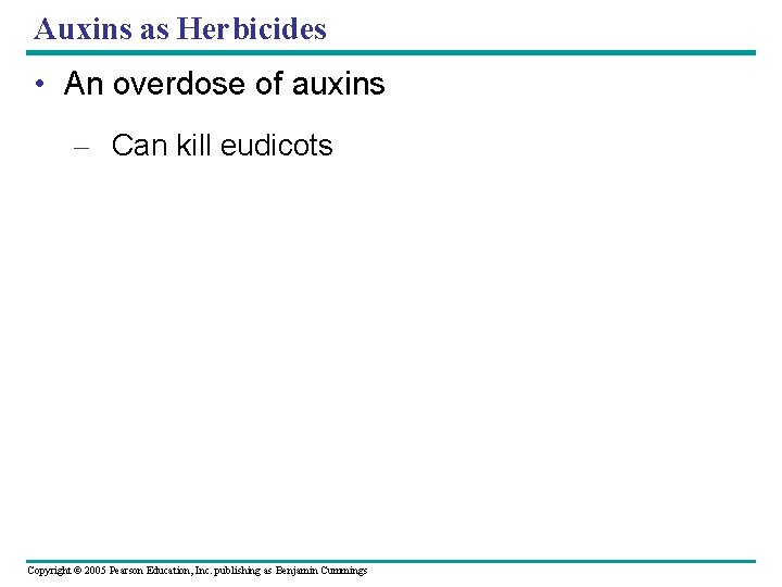 Auxins as Herbicides • An overdose of auxins – Can kill eudicots Copyright ©