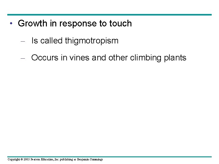  • Growth in response to touch – Is called thigmotropism – Occurs in