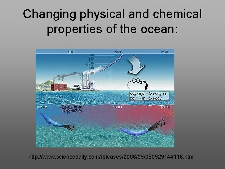 Changing physical and chemical properties of the ocean: http: //www. sciencedaily. com/releases/2008/09/080929144116. htm 