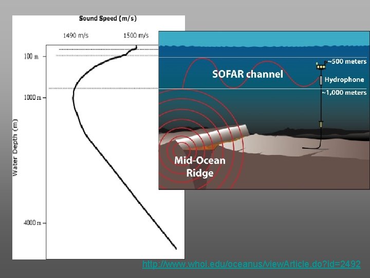 http: //www. whoi. edu/oceanus/view. Article. do? id=2492 