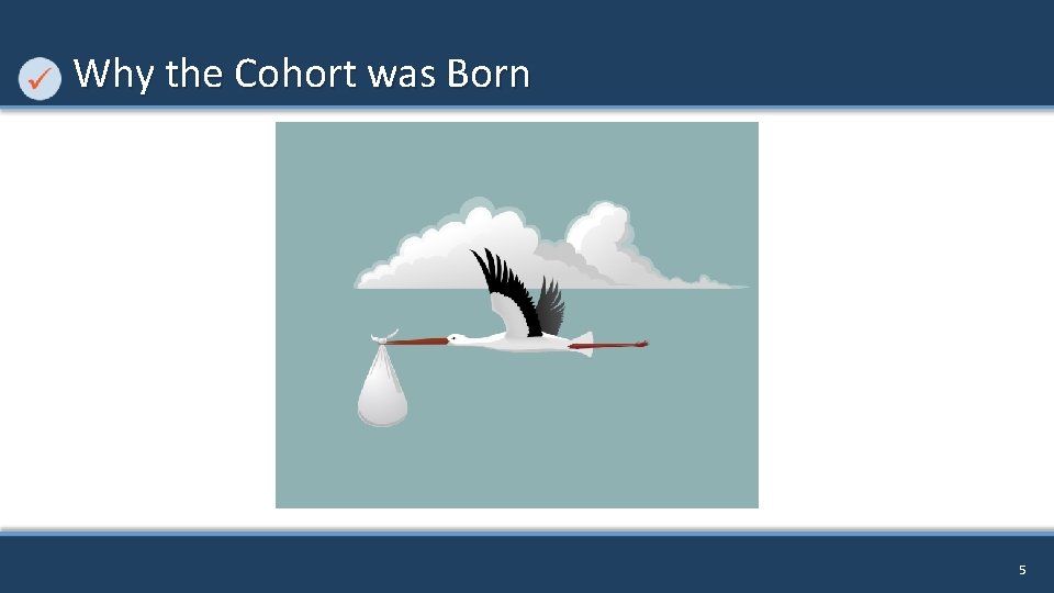 Why the Cohort was Born 5 