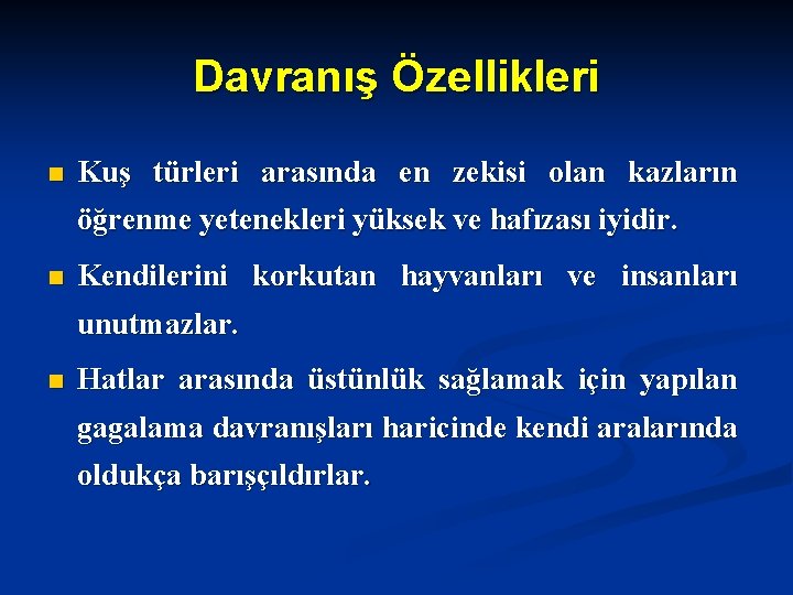 Davranış Özellikleri n Kuş türleri arasında en zekisi olan kazların öğrenme yetenekleri yüksek ve