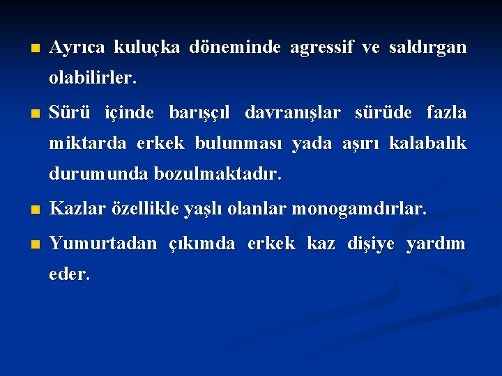 n Ayrıca kuluçka döneminde agressif ve saldırgan olabilirler. n Sürü içinde barışçıl davranışlar sürüde